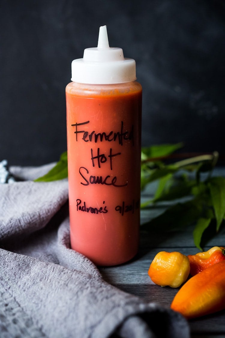 plastic squeeze bottle with fermented hot sauce with "fermented hot sauce padrone's" written on the front.