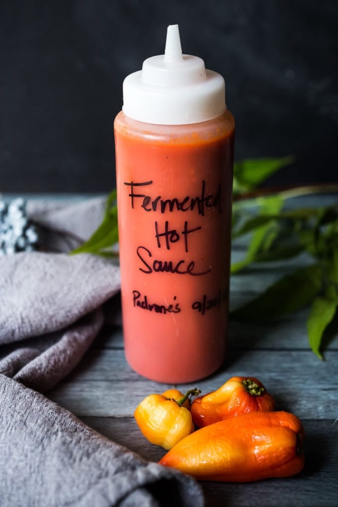 squeeze bottle with fermented hot sauce with "fermented hot sauce padrone's" written across the front, placed in front of three chilies.