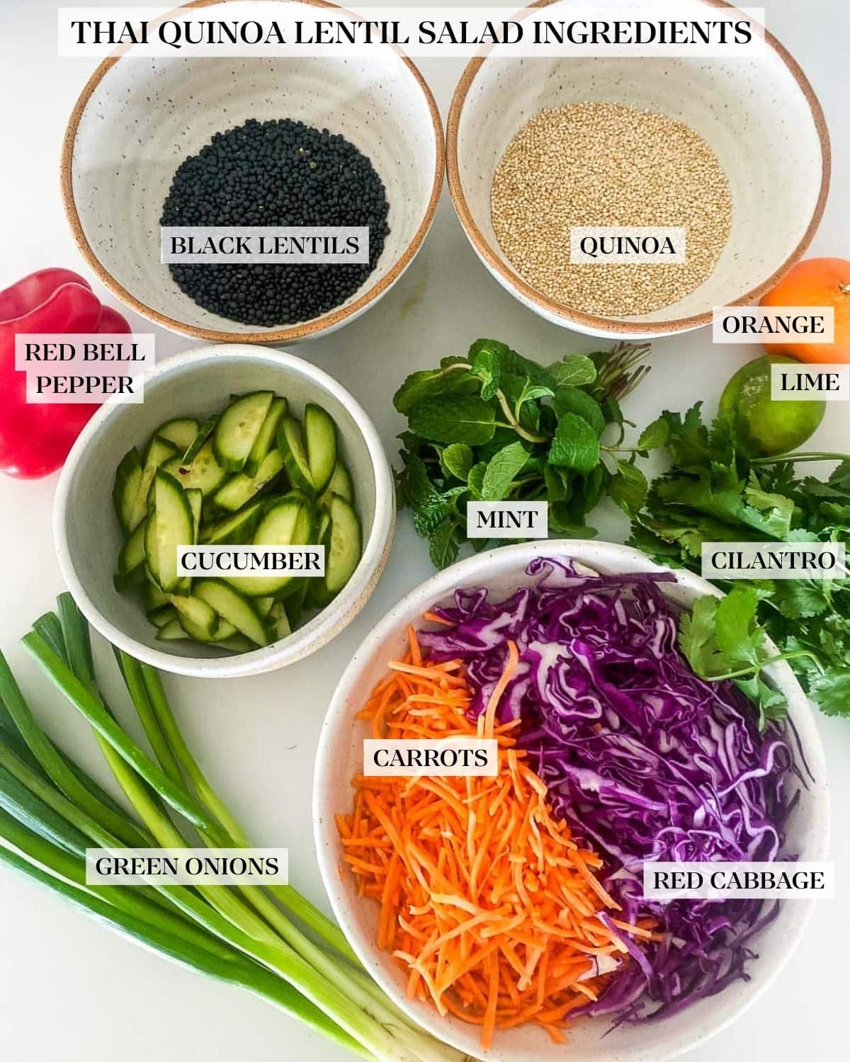 ingredients for quinoa lentil salad - dried black lentils, white quinoa, orange, lime, fresh herbs, shredded carrots and cabbage, red bell pepper, sliced cucumbers, and green onions.