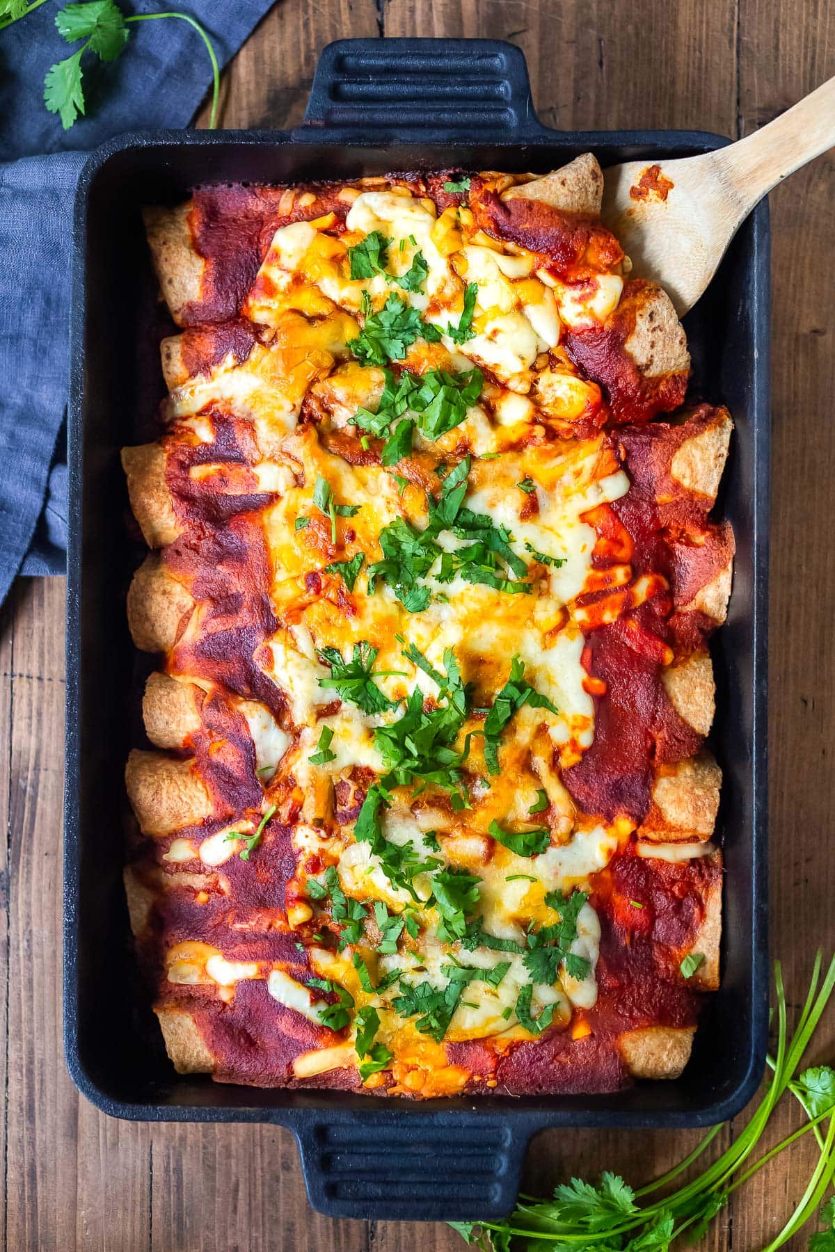 Vegetarian enchiladas with black beans and vegetables in a baking dish with red enchilada sauce, cheese, and cilantro. 